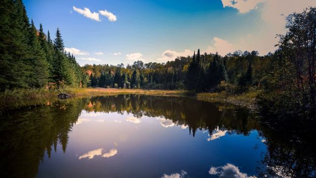 Всё развивается правильно смотреть онлайн