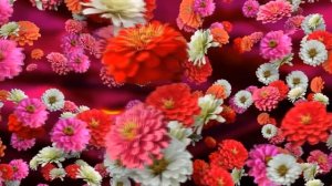 Мантра-молитва для привлечения своей второй половинки