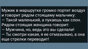 Как Зять По Ночам к Теще Ходил! Сборник Свежих Анекдотов! Юмор!