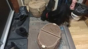 Подсадные утки (Мещерские подсадные утки)