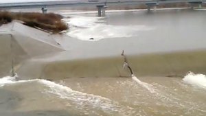 половодье 2016 большой иргиз пестравка