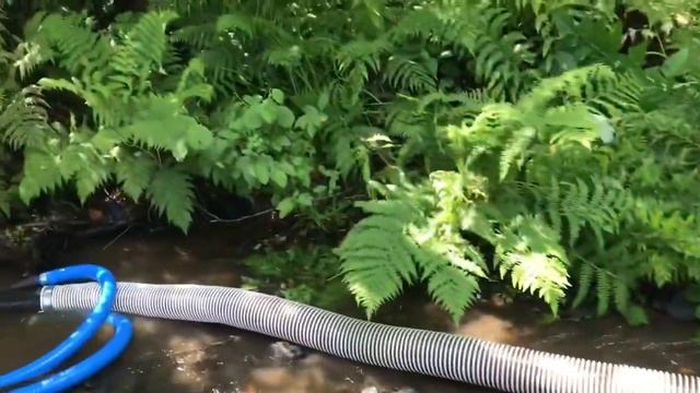 12000кв.см. ловушек для золота , 32л.сил! смотреть онлайн