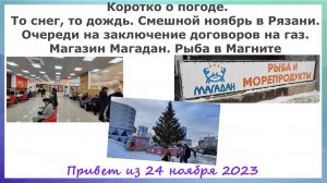 Коротко о погоде. ТО снег, то дождь. СМешной ноябрь в Рязани 2023. Магазин Магадан