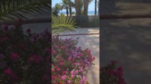 Влог. Где я пропадал в отпуске. Небольшой обзор Gypsophila Holiday Village.