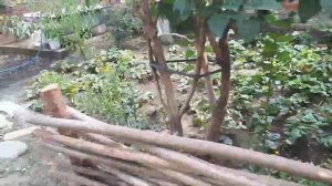 ЧЕЧНЯ /Сержен юрт/В гостях у народного мастера/1/