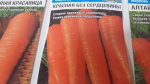 Сорта сладкой моркови, устойчивые к заболеваниям для всех регионов России.