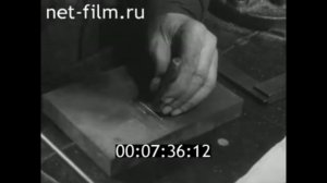 1966г. Калининград. вагоностроительный завод. Хилюк Владимир Фёдорович