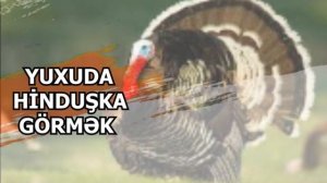 yuxuda hinduska gormek