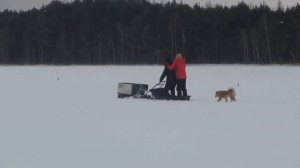 На мотособаке по озеру