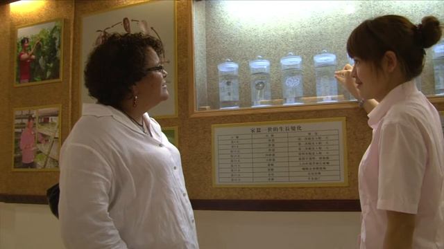 Southeast Asia Part 3 Xiamen Shanghai JFK смотреть онлайн