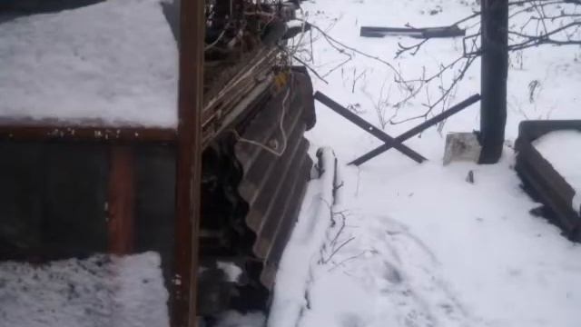 Мини-лагерь котов воителей во дворе?) смотреть онлайн