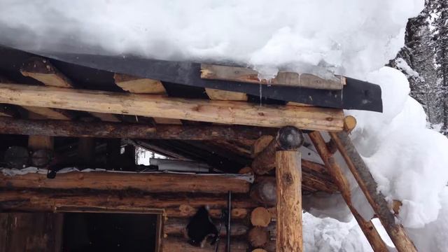 По тайге смотреть онлайн