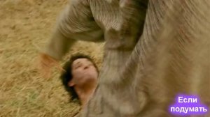 Лучшие черные комедии (иностранные) / Если подумать