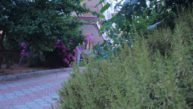 Популярные специи I Всё о Турции