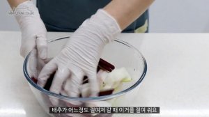 시원한  알배추 물김치 만들기 맛도 색도 끝내줘요  #170