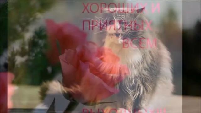 ЗАВТРА БУДЕТ ЛУЧШЕ , ЧЕМ ВЧЕРА смотреть онлайн