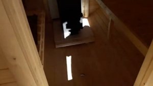 Изготовление бани бочки в Благовещенске