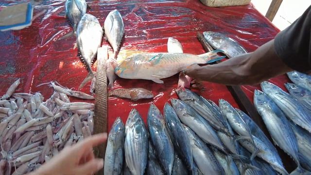 Цены на продукты в магазинах Шри Ланки. Рыбный рынок, фрукты. Сколько брать денег с собой? смотреть онлайн