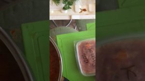 Сушим на зиму кинзу