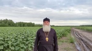 Просите и дастся вам  "рассказы сельского батюшки"