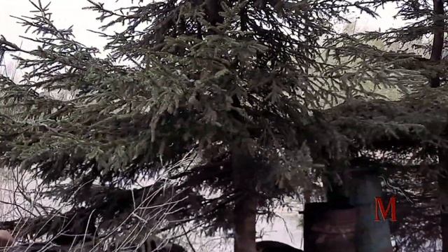 Дачный сюрреализм или по мотивам "Поворот не туда" смотреть онлайн