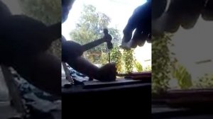 Снасть на сазана своими руками