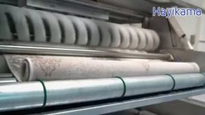 Оборудование для стирки ковров Hayikama