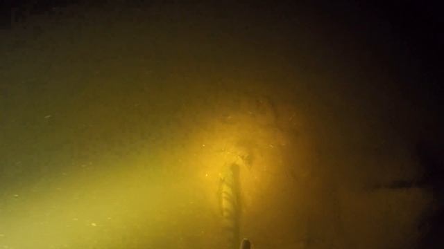 ОТКРЫТИЕ ПОДВОДНОЙ ОХОТЫ НА ДЕСНОГОРСКОМ ВОДОХРАНИЛИЩЕ смотреть онлайн