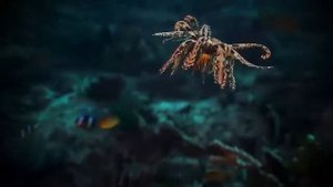 МОРСКИЕ ЛИЛИИ - Фантастические цветы подводного царства