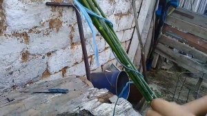 Как сделать лук из веток.