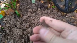 Siignum MFD - репортаж с копа!