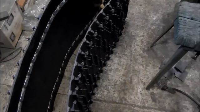 правильная мотособака