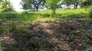 ВОТ ТАК НАДО ЛОВИТЬ РЫБУ!!!#речной усач#удачная рыбалка