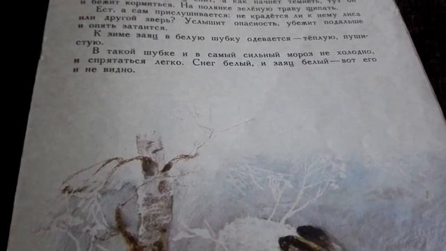 ЗАЯЦ. "Заяц-беляк".Рассказ В Чаплиной. Иллюстрации и.Т.Зебровой. смотреть онлайн