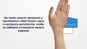 Штрафы для самозанятых в 2023 году: что будет если не отразить доход или не вовремя заплатить налог