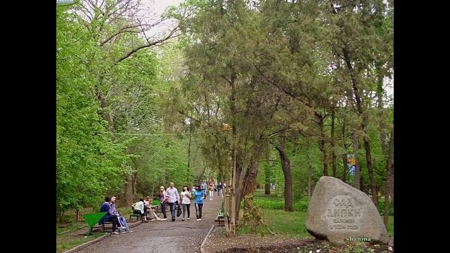Песня о Саратове - Резниченко Ольга (Шунова)