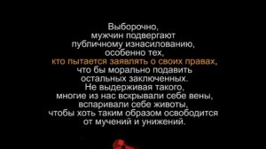 ОБРАЩЕНИЕ заключенных в Омской колонии "ИК2"