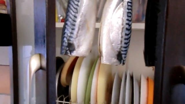 ? ? ПРОВЕСНАЯ СКУМБРИЯ   простецкий рецепт