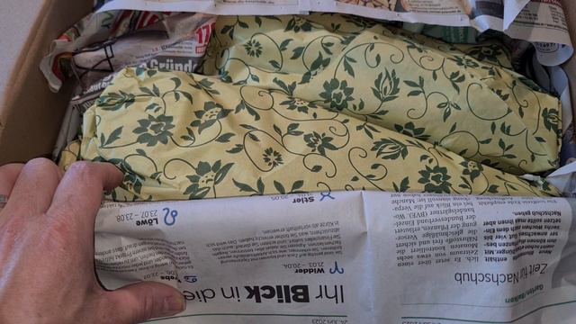 MY PRECIOUS Rlc Village Chief Rose Cattleya is BACK!