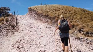 Cerro Pelado: A Bucket-List Experience for All Hikers