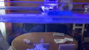 Кормление Хирургов в Морском Аквариуме | Морской Аквариум дома | Кормление морских рыб | море дома