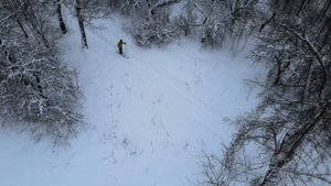 Бирюлево Восточное