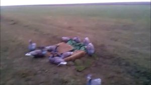 Охота на гуся в Калмыкии