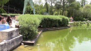 В гостях у Астерикса. Парк Астерих Париж.