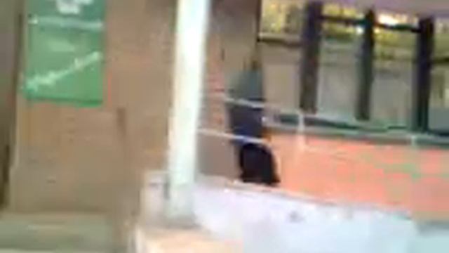 Видео со старого телефона (качество картинки дизлайк) смотреть онлайн