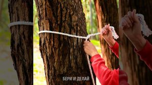 29 УМНЫХ ЛАЙФХАКОВ ДЛЯ КЕМПИНГА