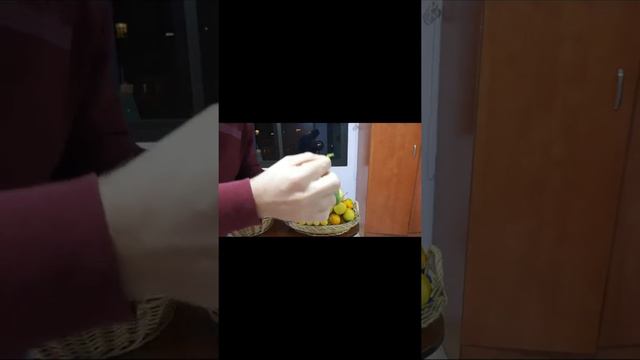 l'entretien des agrumes (français et arabe) смотреть онлайн