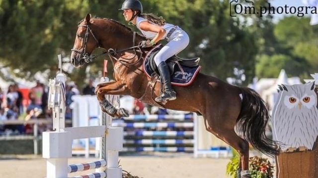 Мифы о лошадях и конном спорте. Фризы могут быть не только вороными!? #верховая_езда #кони смотреть онлайн