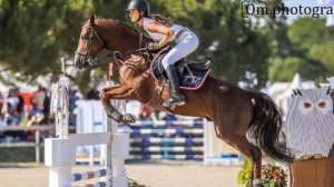 Мифы о лошадях и конном спорте. Фризы могут быть не только вороными!? #верховая_езда #кони