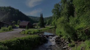 Лесная сказка. Лето 2024